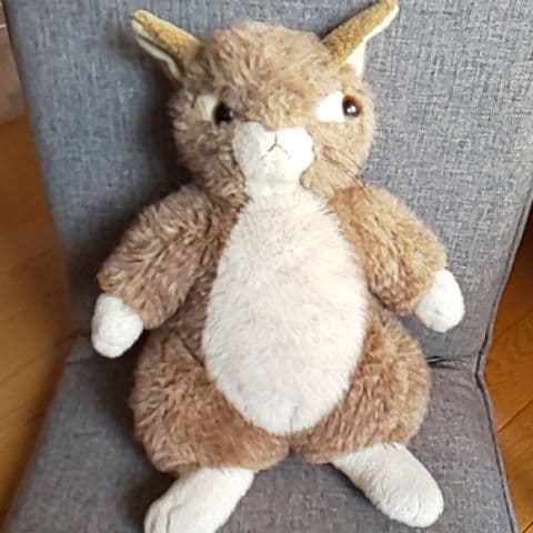 #わちふぃ－るど#ダヤンぬいぐるみ