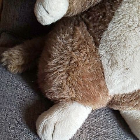 #わちふぃ－るど#ダヤンぬいぐるみ