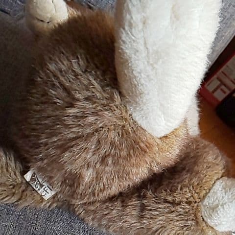 #わちふぃ－るど#ダヤンぬいぐるみ