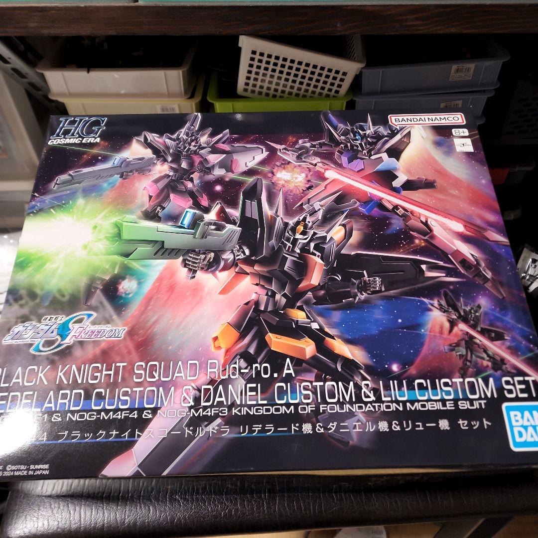 虎*助様 HG BLACK KNIGHT SQUAD 1/144 セット