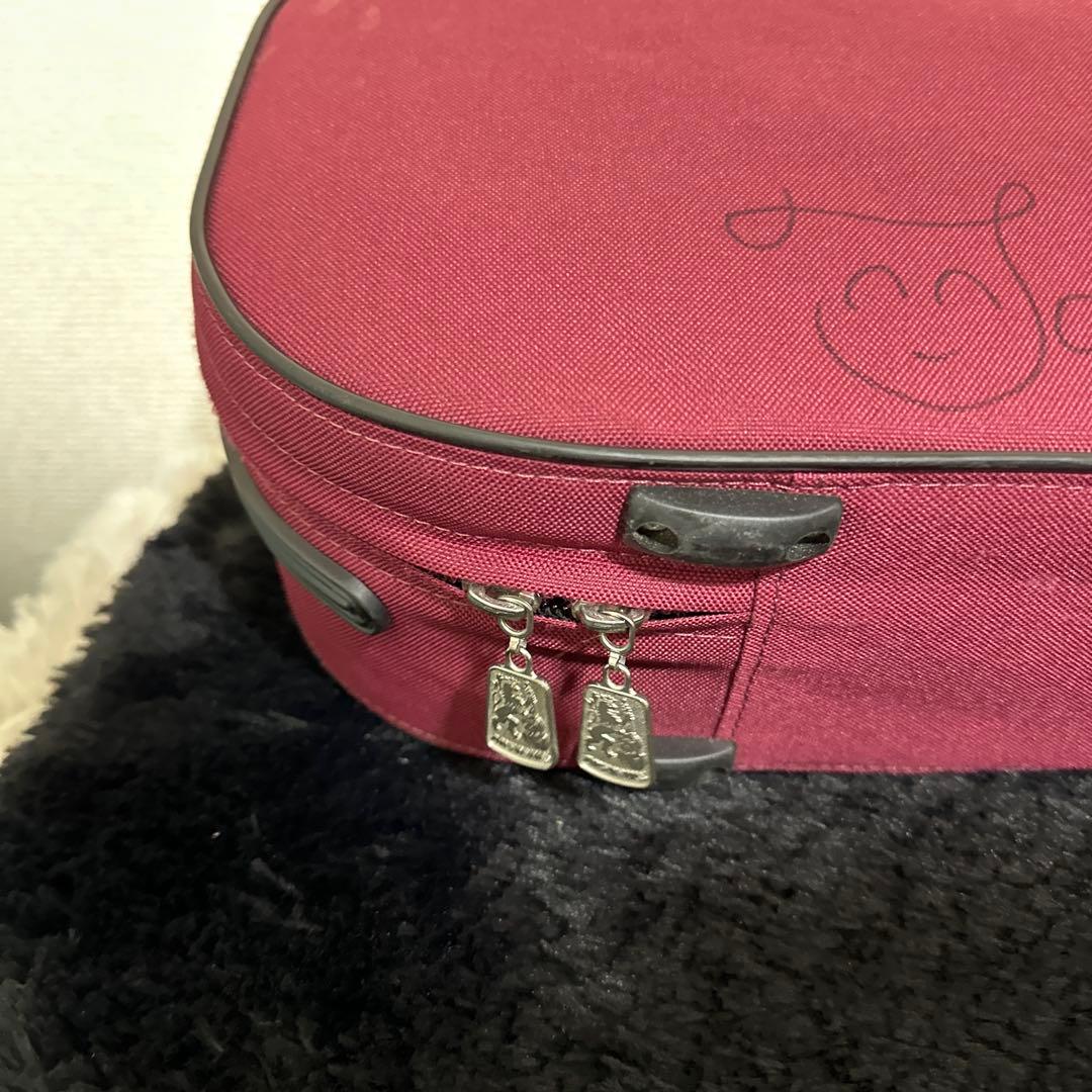 レア ARTONUS Quart バイオリンケース 弦楽器 ハードケース 4/4