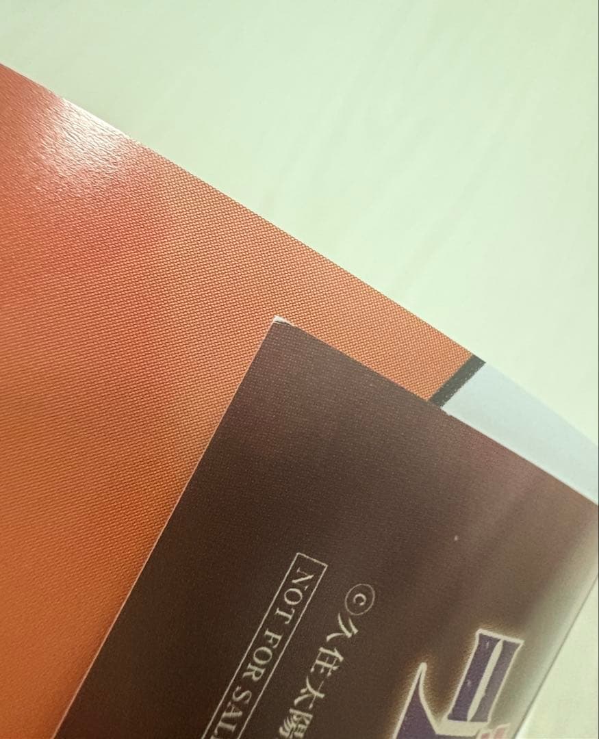 シンデレラグレイ　シンボリルドルフ　ポスター　キャンペーン