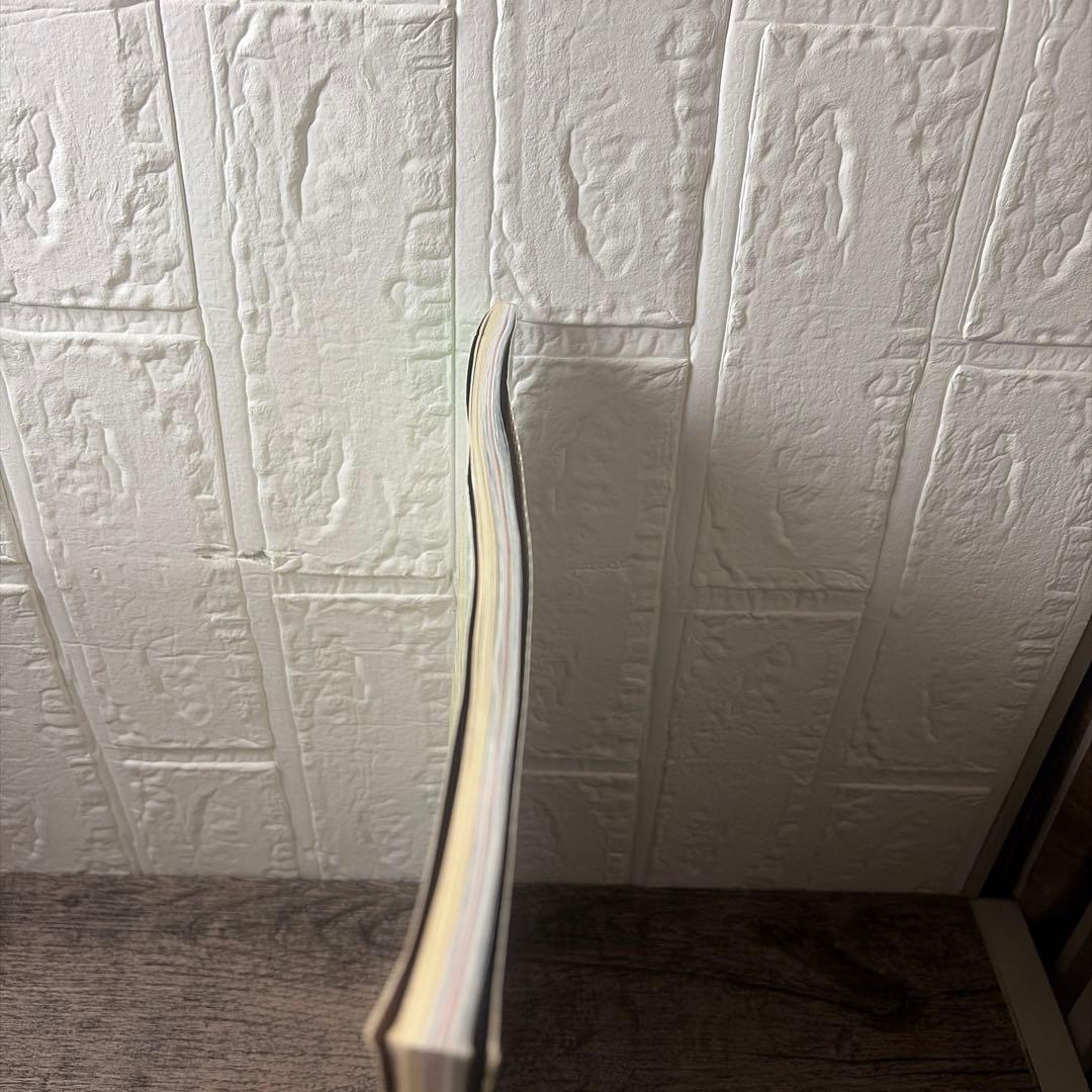 乙女のソーイングBOOK : 手作りのロリータファッション 9