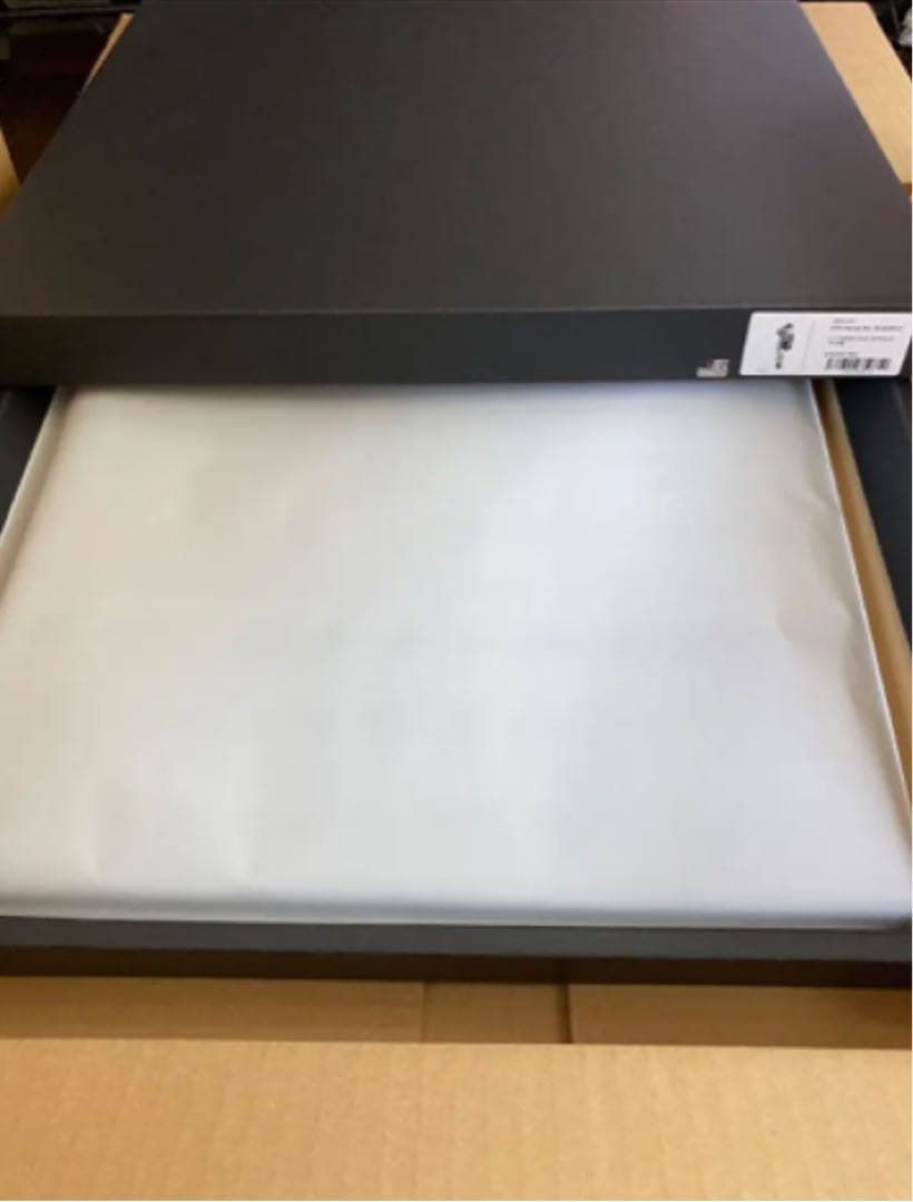 エヴァ Canvas Art(RADIO EVA)キャンバスアート レイ