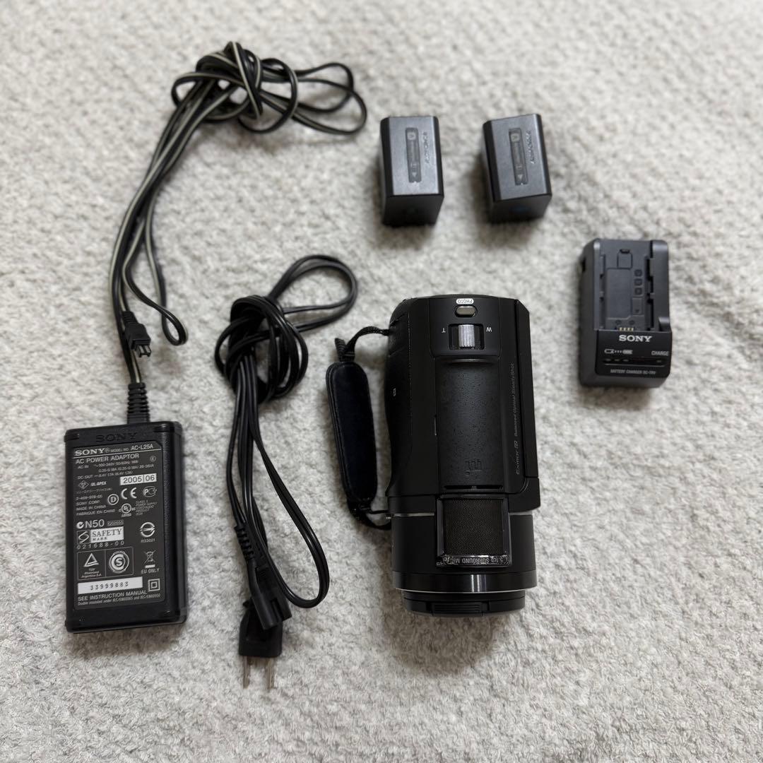 ビデオカメラ SONY FDR-AX45