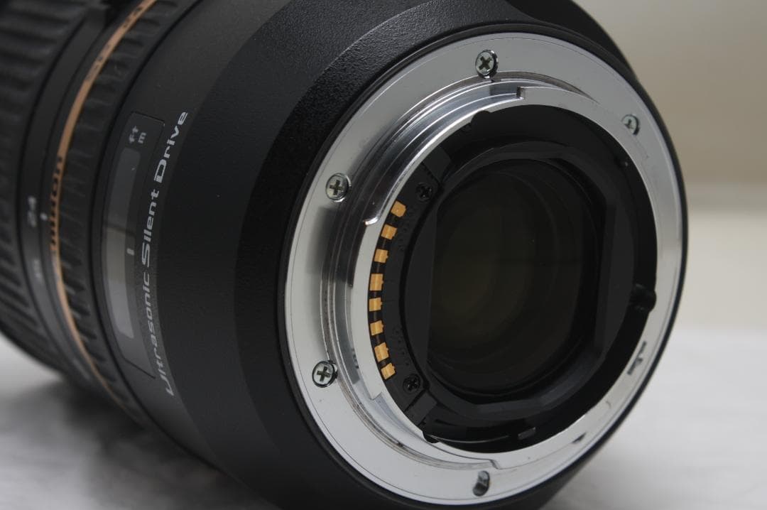 タムロン SP 24-70mm F2.8Di USD ソニーA A007