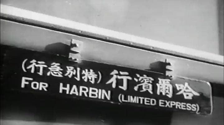 フリード君優遇有り 復刻風 特急用 筆字吊下サボ 琺瑯板