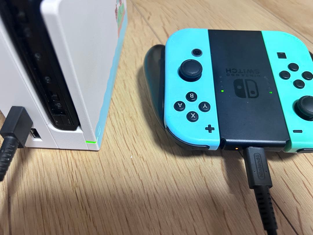 Nintendo Switch あつまれどうぶつの森【フルセット】動作確認済み