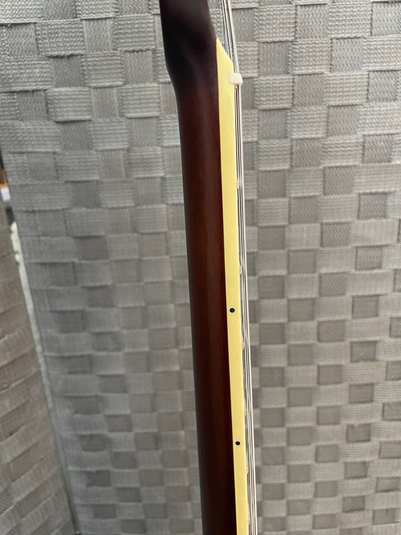 Bacchus BARON-STD/WH P90タイプピックアップ ケース付