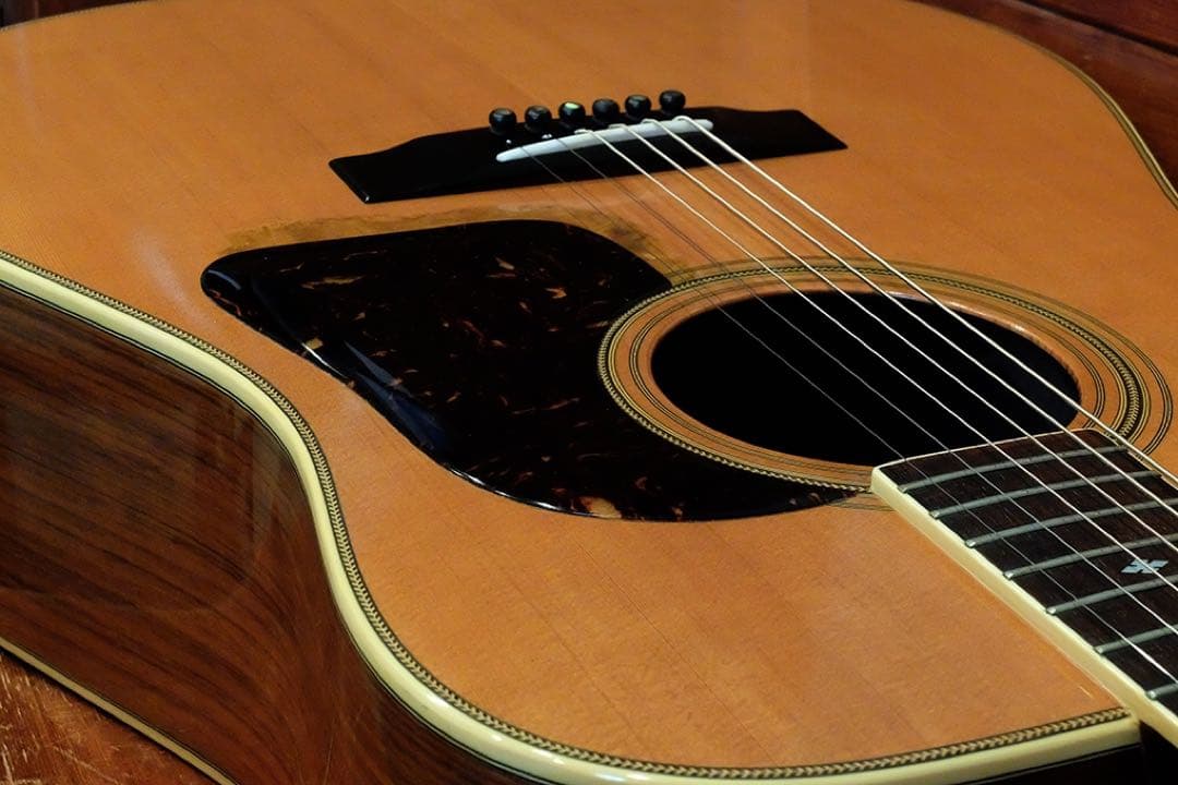 Jagard JG-35 寺田楽器 爆鳴り ジャパンビンテージ