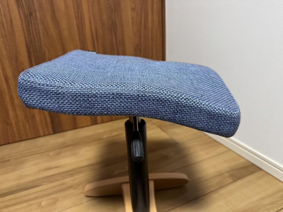 【美品】バランスラボ シナジー 腰痛対策チェア