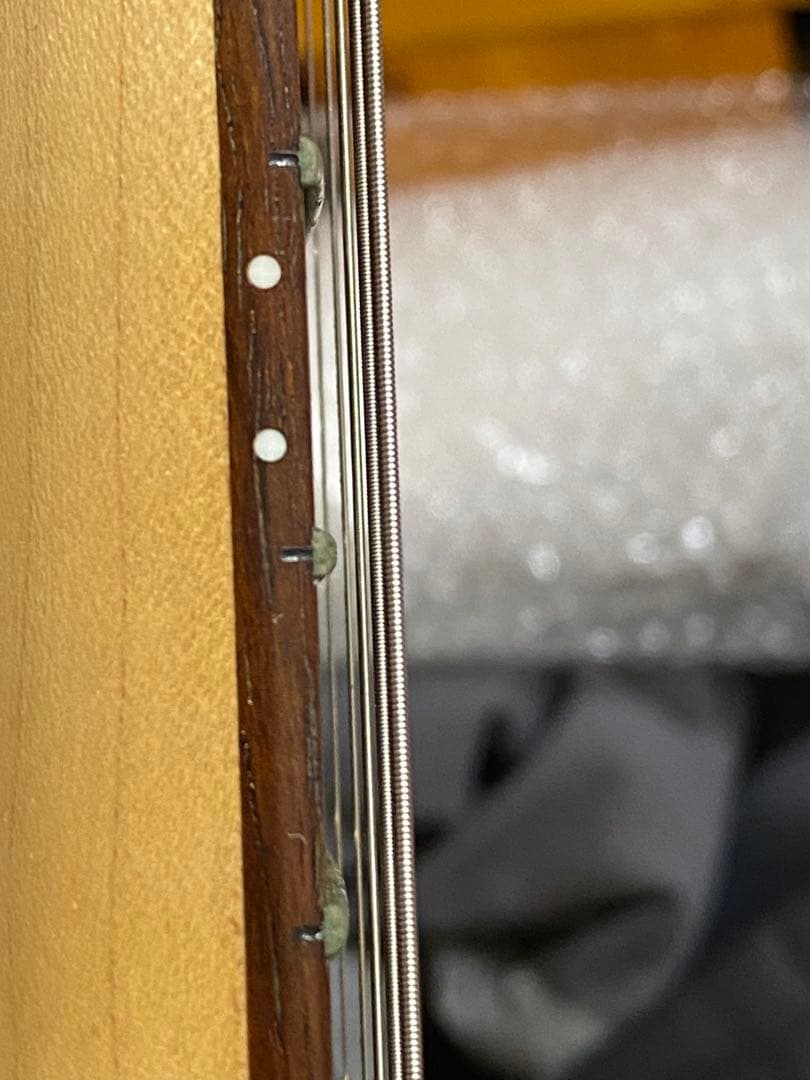 ギター yasubeeBacchus TACTICS MNG SC