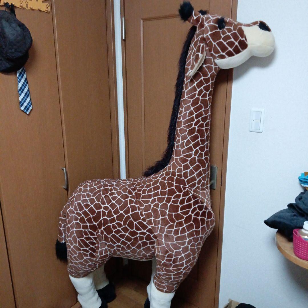 コメント下さい！きりんの等身大