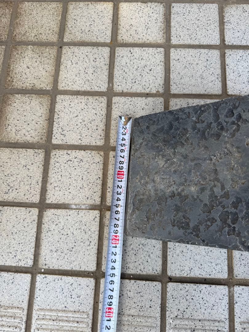 トカゲ　洞窟　隠れ家2個セット