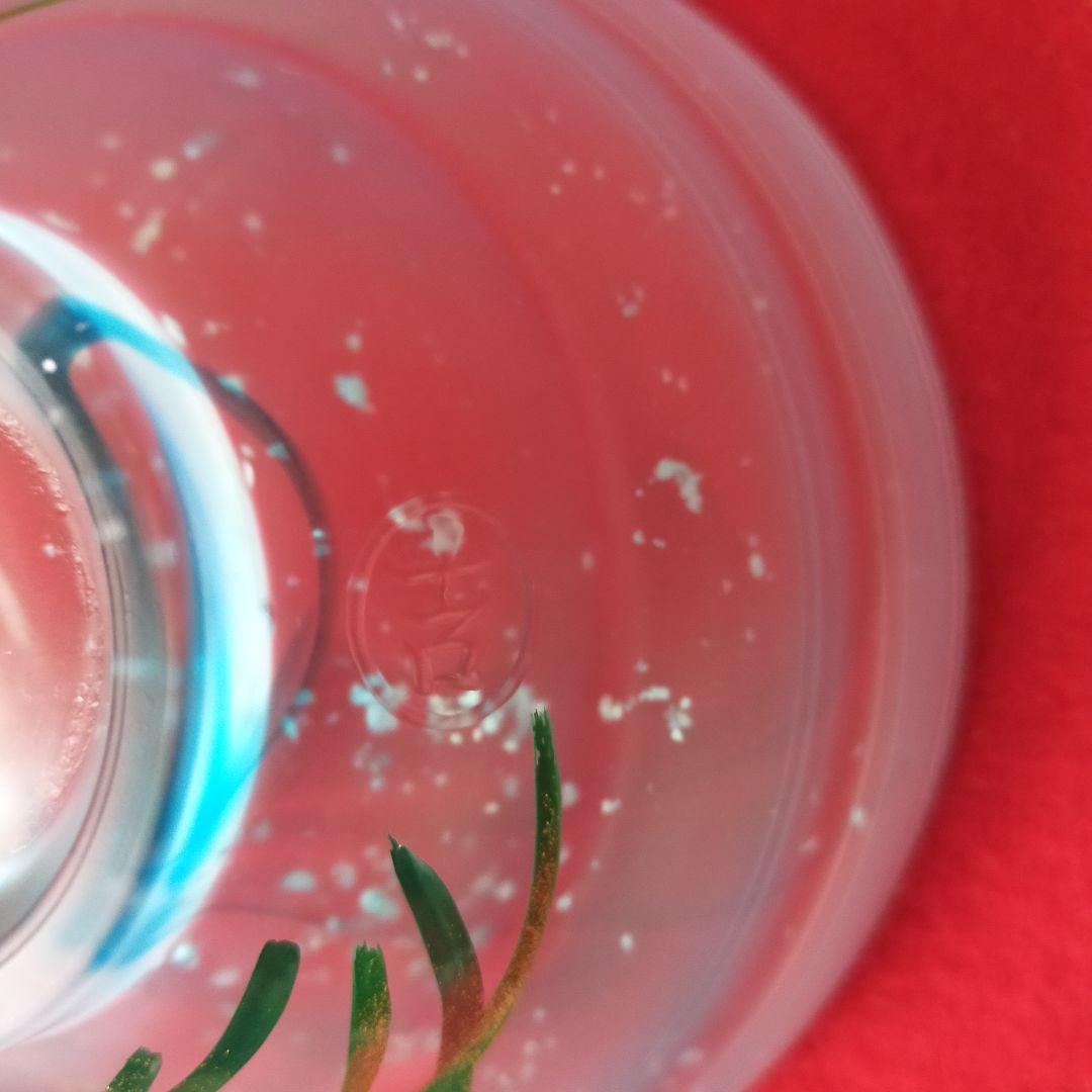 硝子茶碗　蛍蒔絵　吉昭作　平茶碗【中古美品】