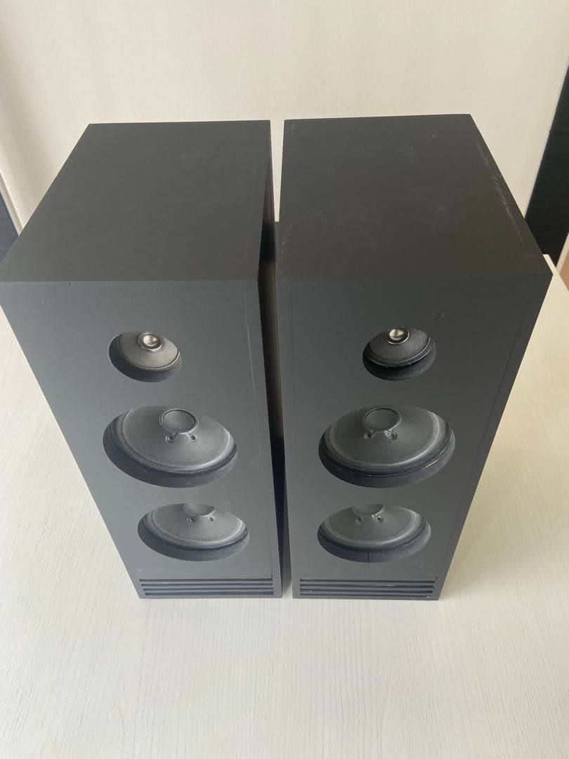 自作フルレンジ2発バックロードホーンスピーカー