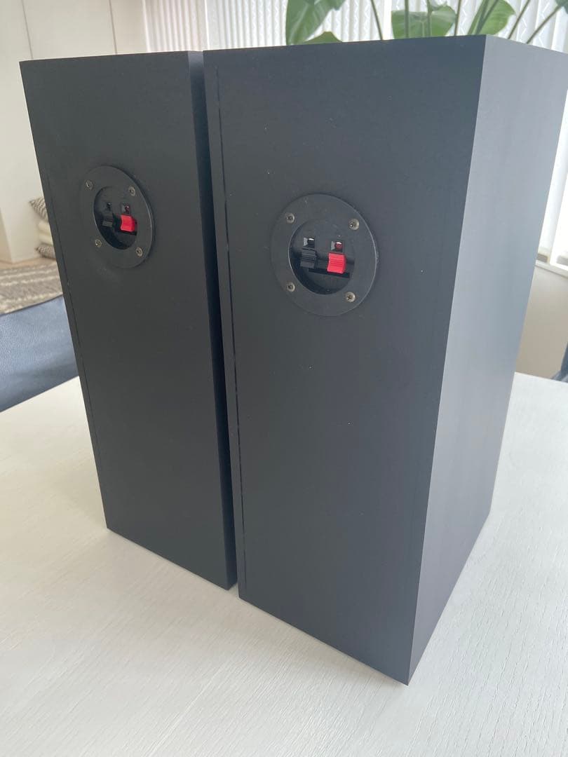 自作フルレンジ2発バックロードホーンスピーカー