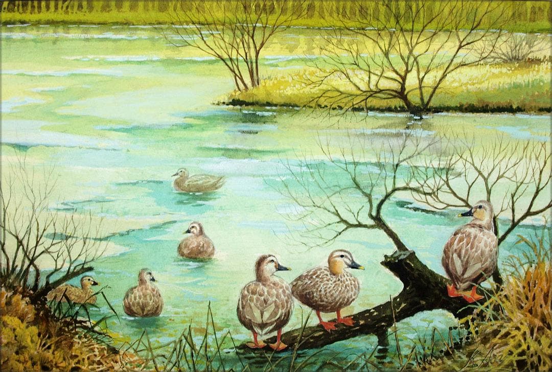 絵画「鴨の池の午後」　水彩画