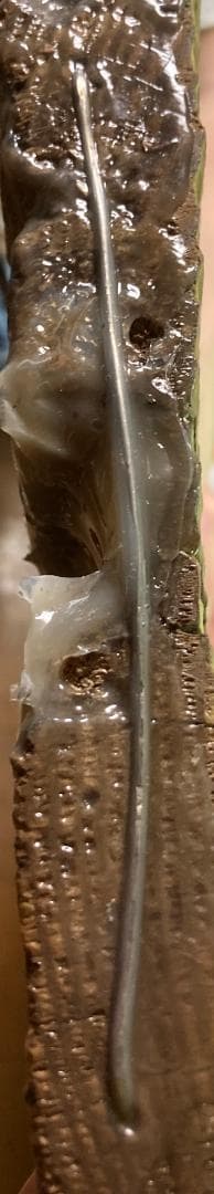 ”松霊”　隠元禅師の扁額(値下げ)