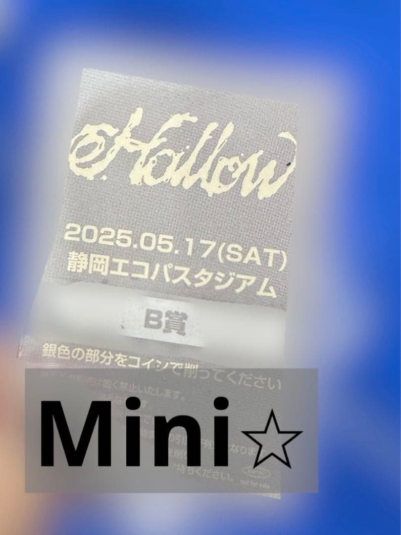 Stray Kids スキズ フィリックス　直筆 サイン チェキ B賞