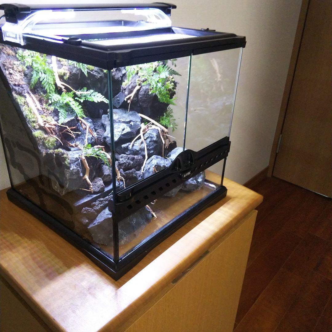 【受注生産】アクアテラリウム グラステラリウム