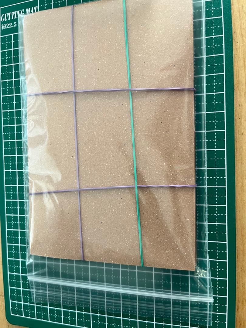 ニンフィアv SR PSA10