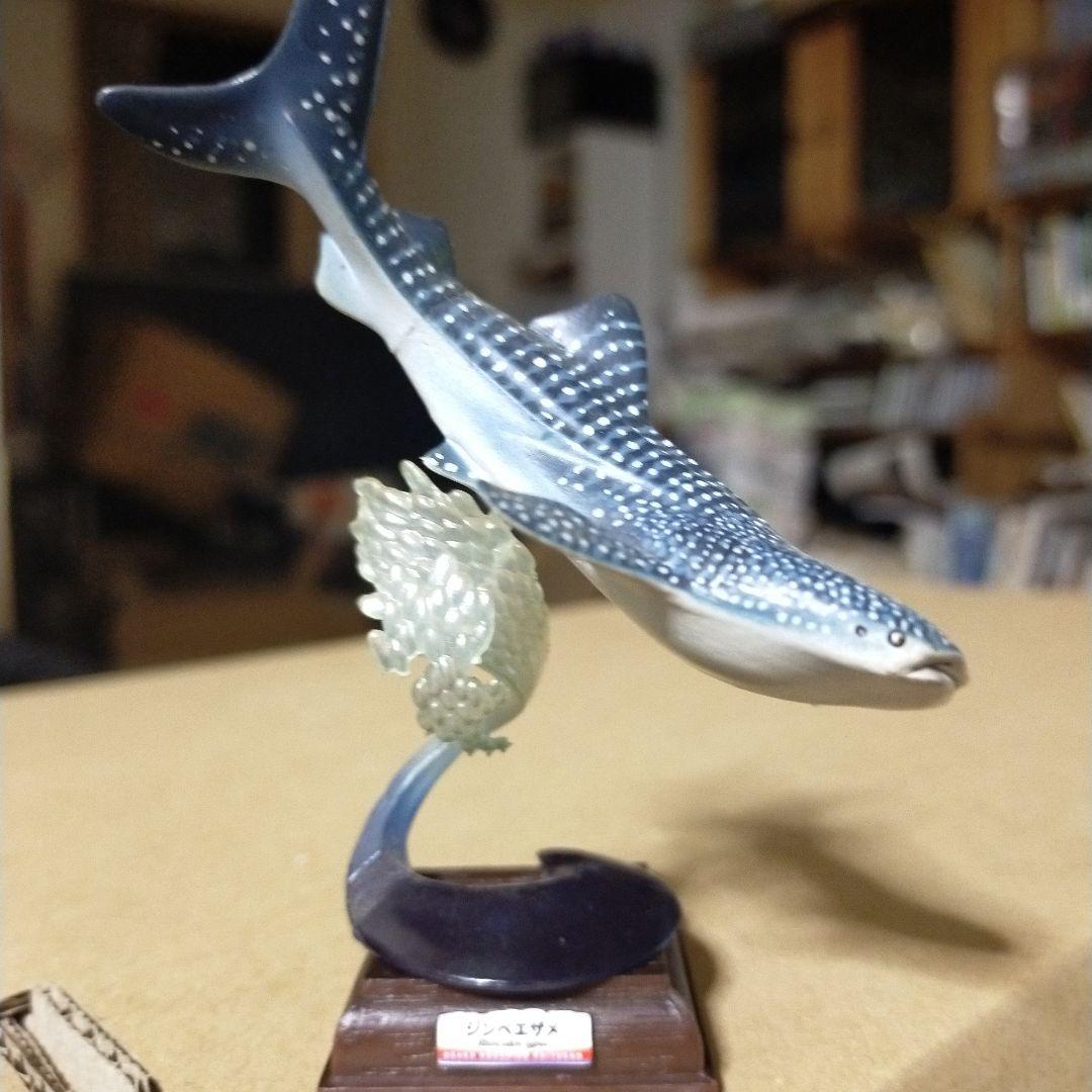 貴重レア　ジンベイザメ「海遊館ミュージアム ネイチャーテクニカラー」 海遊館限定