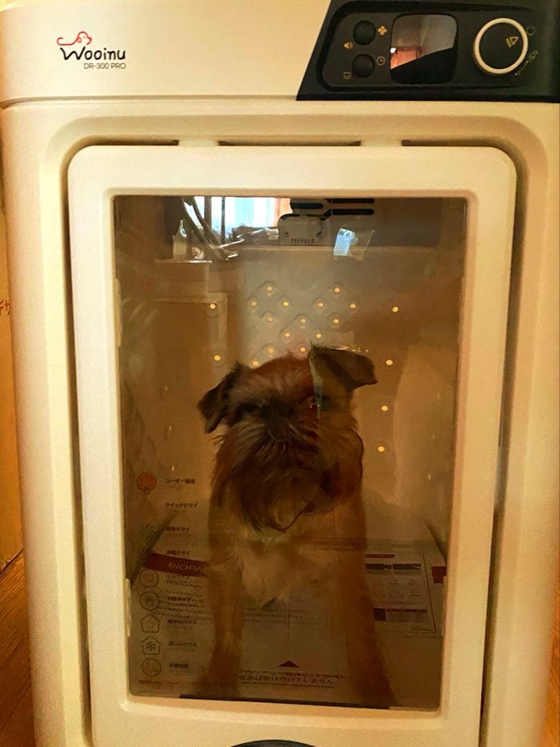 wooinu ペットドライルーム 中型用 154L ホワイト