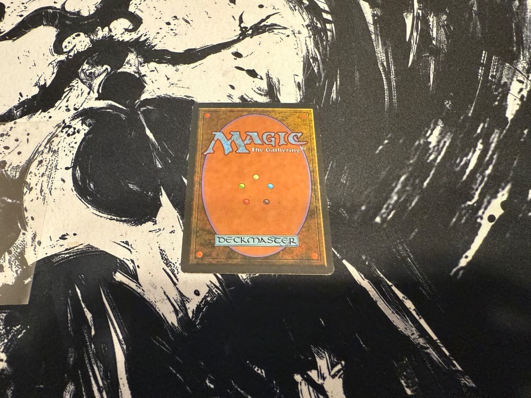 Savannah　１枚　英語　MTG