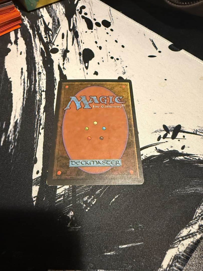 Savannah　１枚　英語　MTG