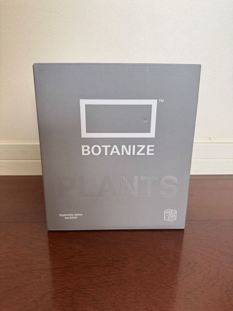 BOTANIZE VCD Euphorbia obesa 2個セット
