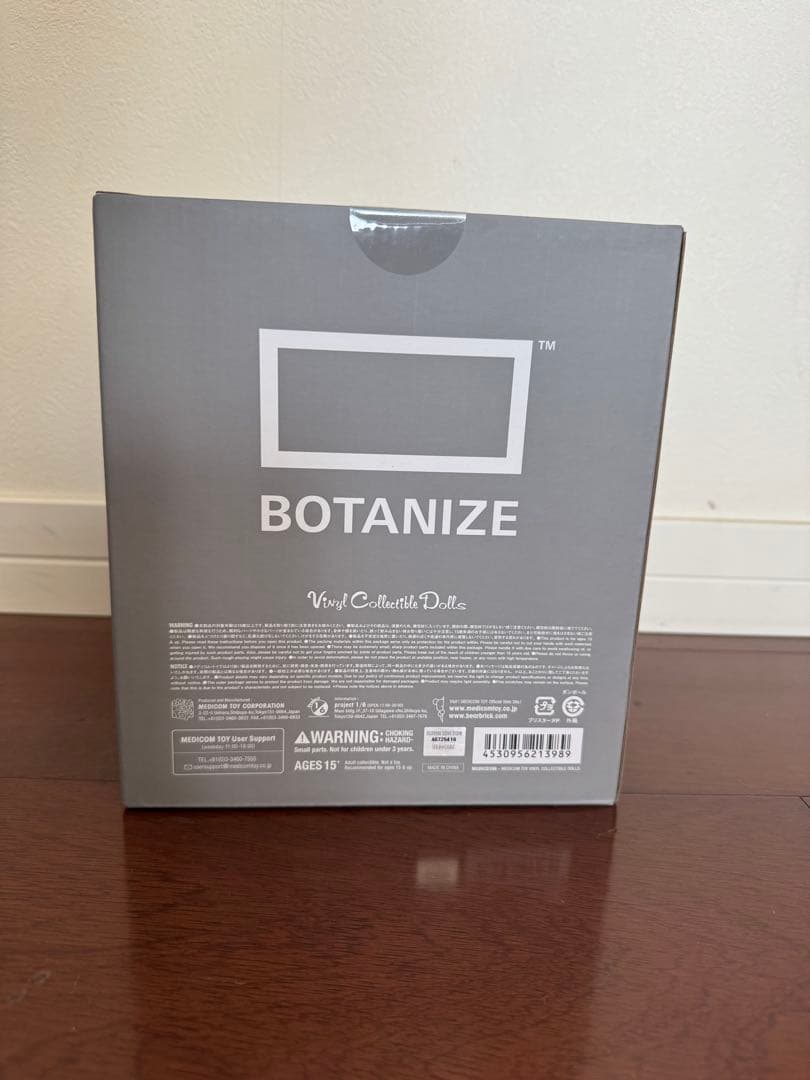 BOTANIZE VCD Euphorbia obesa 2個セット