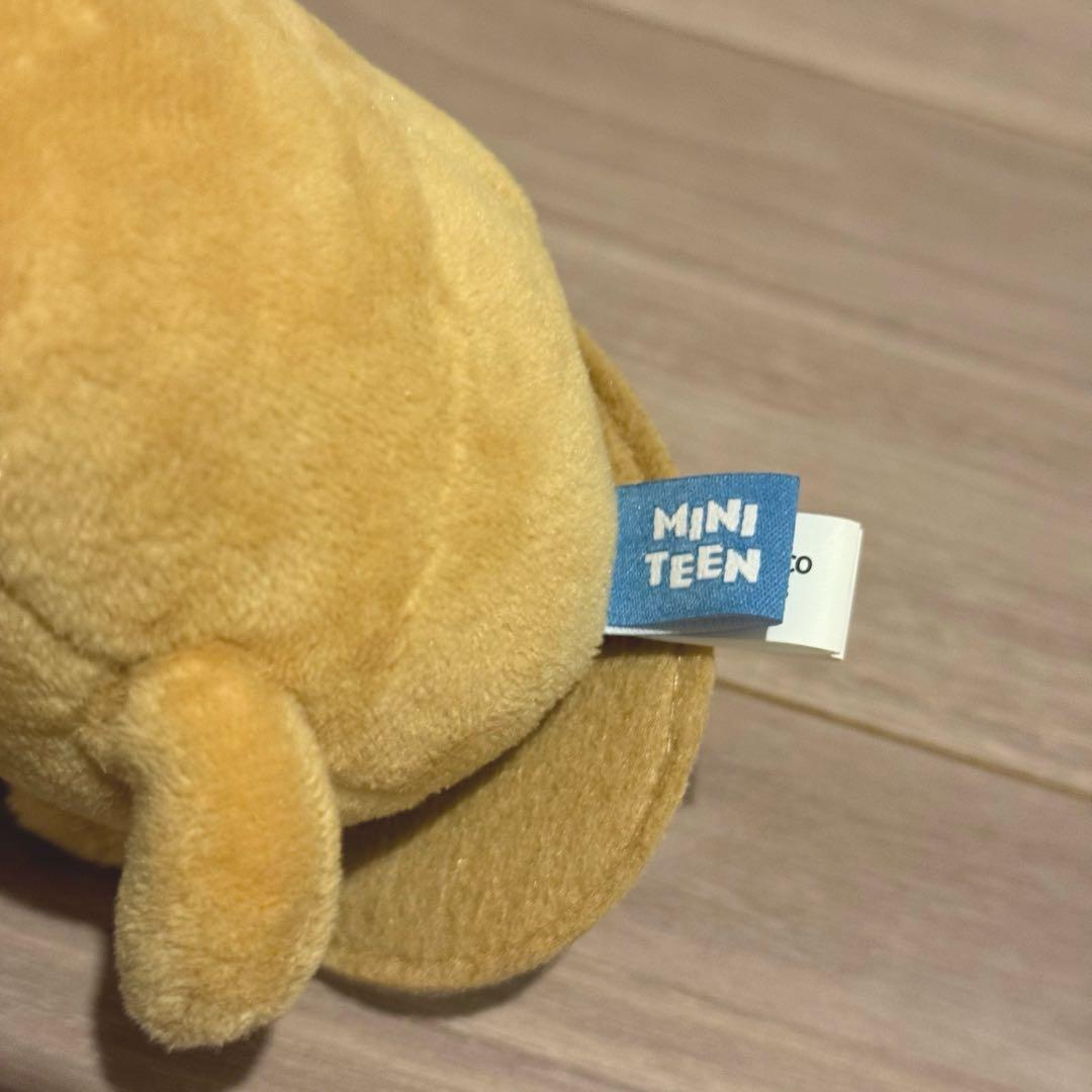 seventeen miniteen ミンギュ キムジャ マグネットキーホルダー