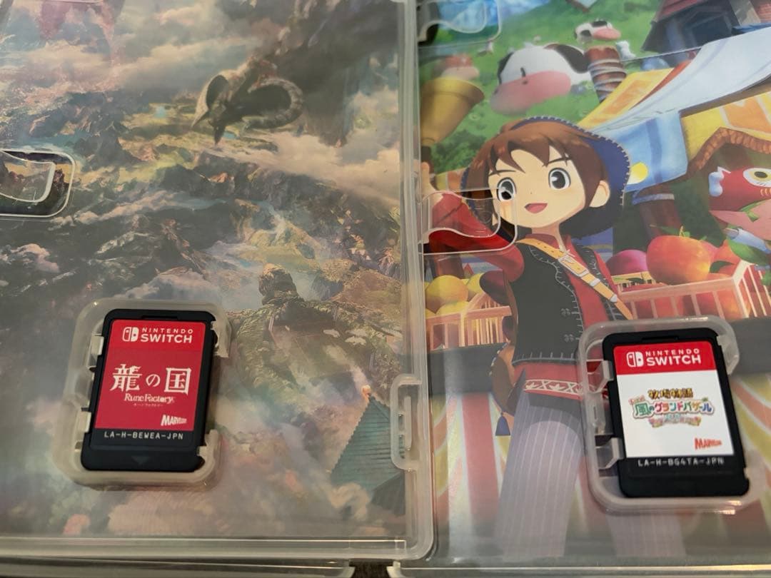 Switch ソフト 2本セット