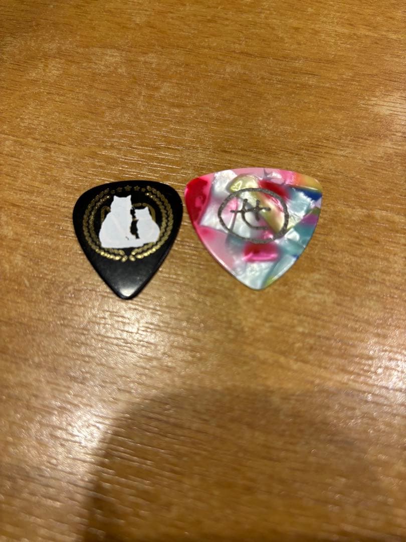 Novelbright  本人使用ピック　セット