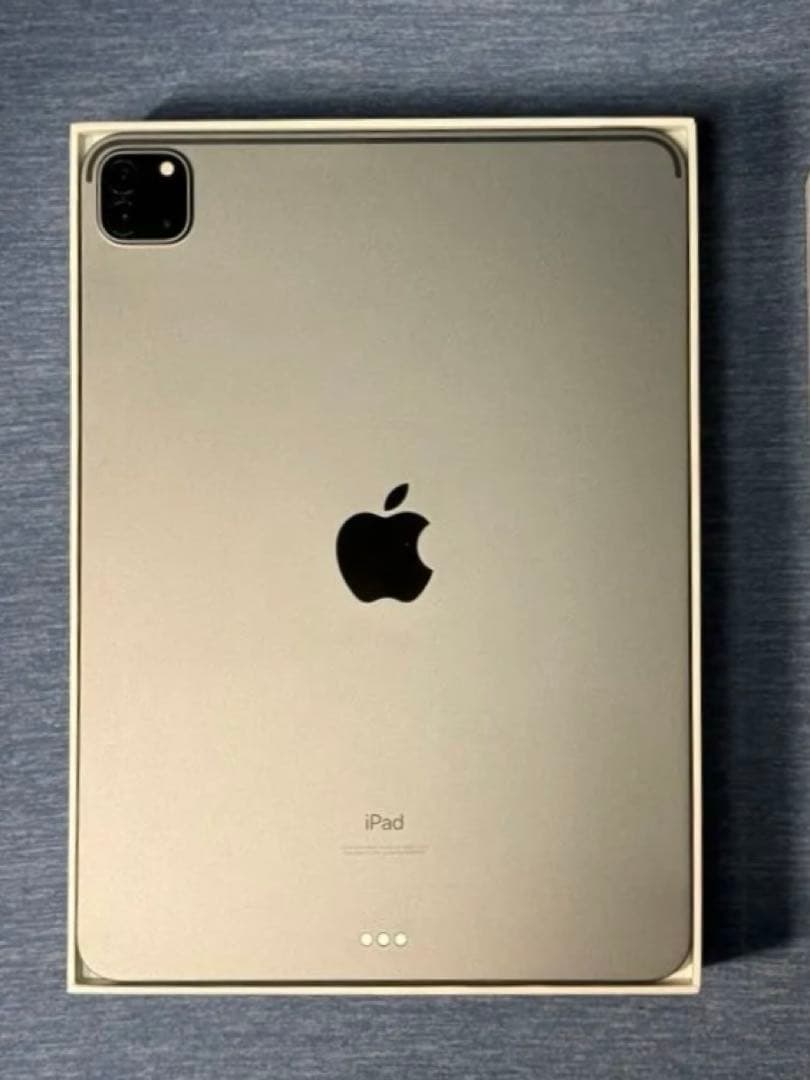 Apple iPad Pro 11 本体 + Apple Pencil