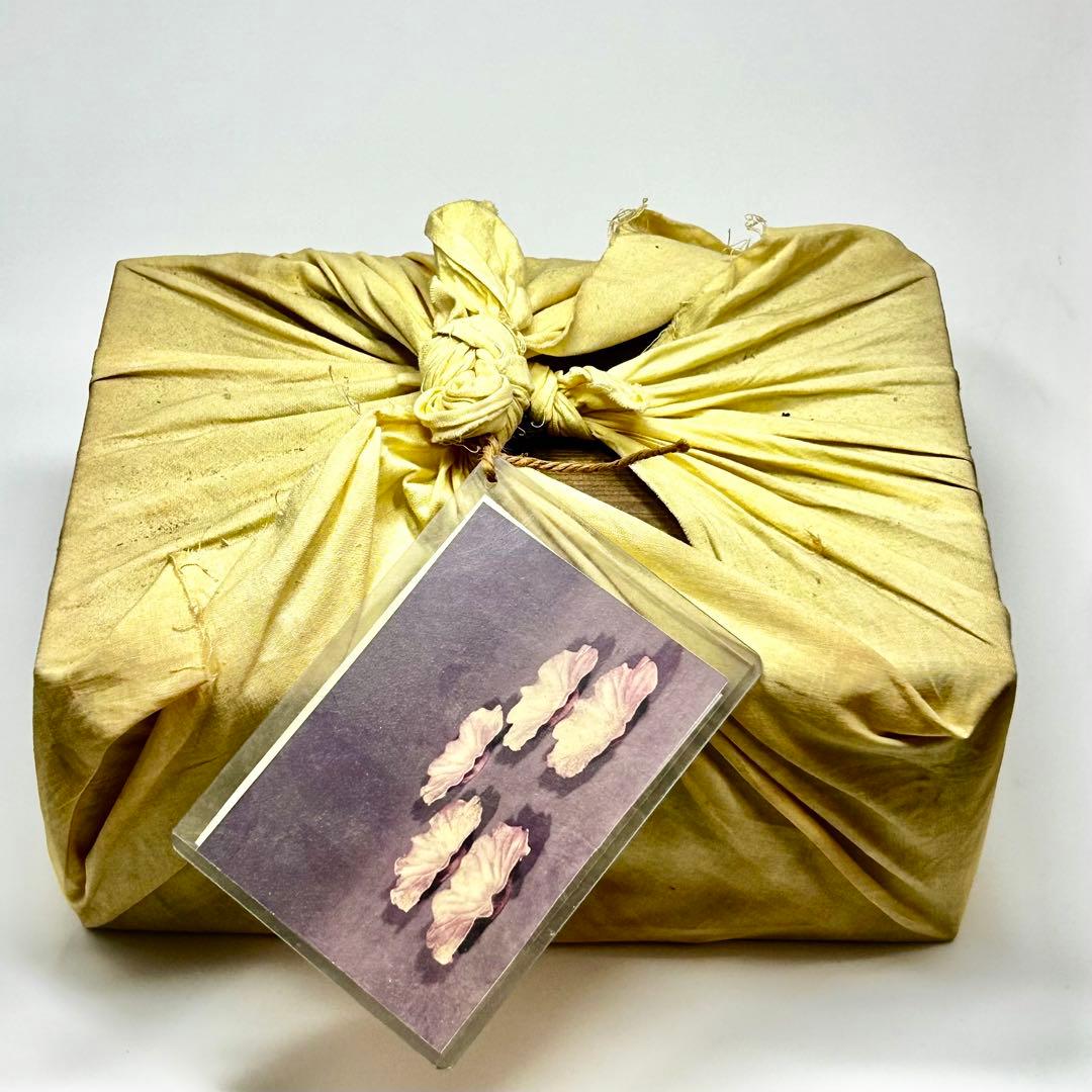 江戸時代　備前焼　蓮皿　五枚