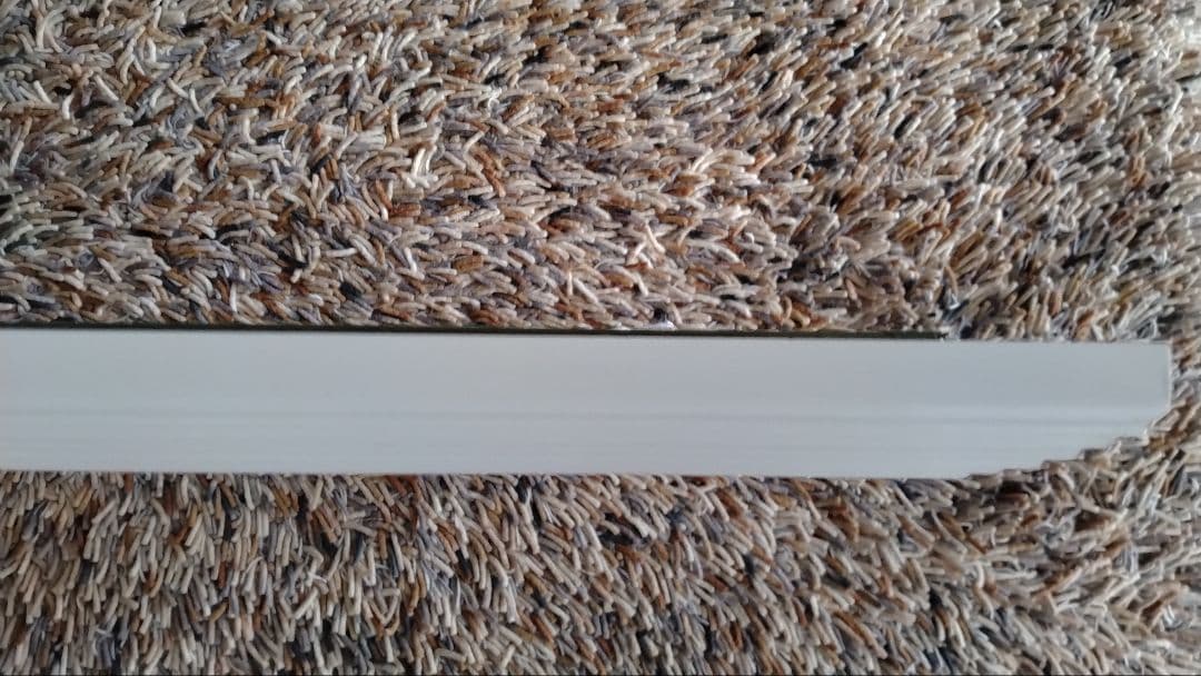 鶴田一郎　愛の嵐　(ジクレ)　真作