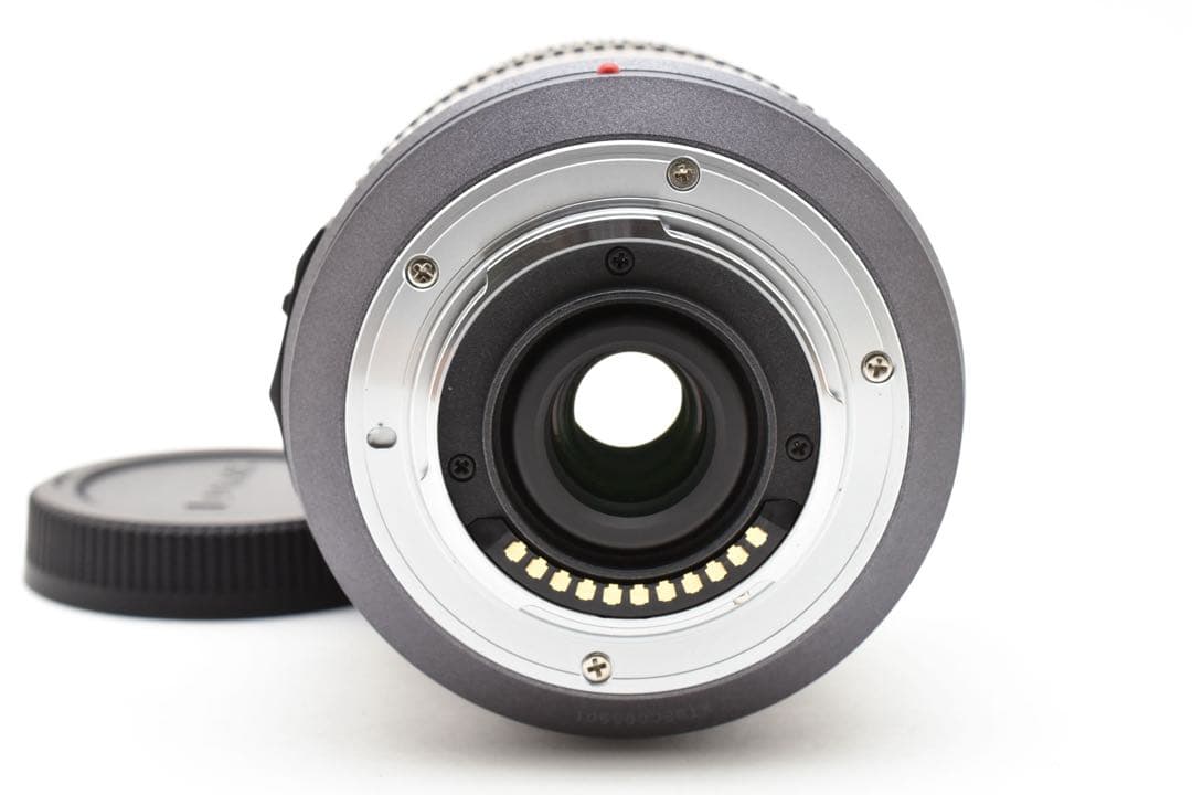Panasonic LUMIX G VARIO 14-140mm ズームレンズ