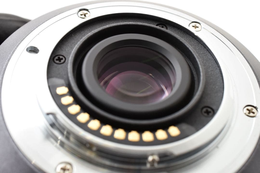 Panasonic LUMIX G VARIO 14-140mm ズームレンズ