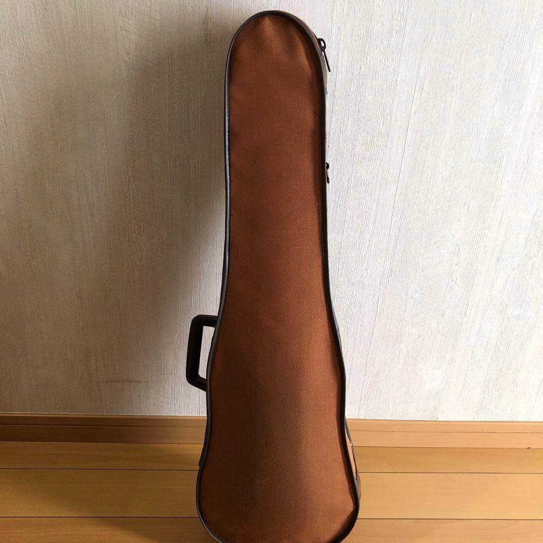 Artisan IV-100 バイオリン 木製バイオリン本体とケース