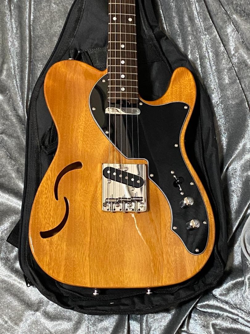 美品 限定生産モデル Schecter OL-PT-TH ホロウボディ