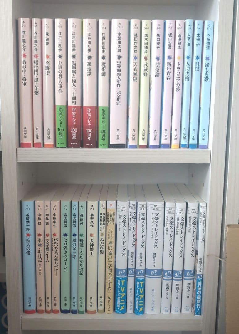 文豪ストレイドッグス 文スト 小説 全34巻セット