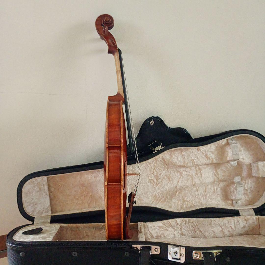 ピグマリウス スタンダード 2022年 アルシェ PE 1003 分数 1/4