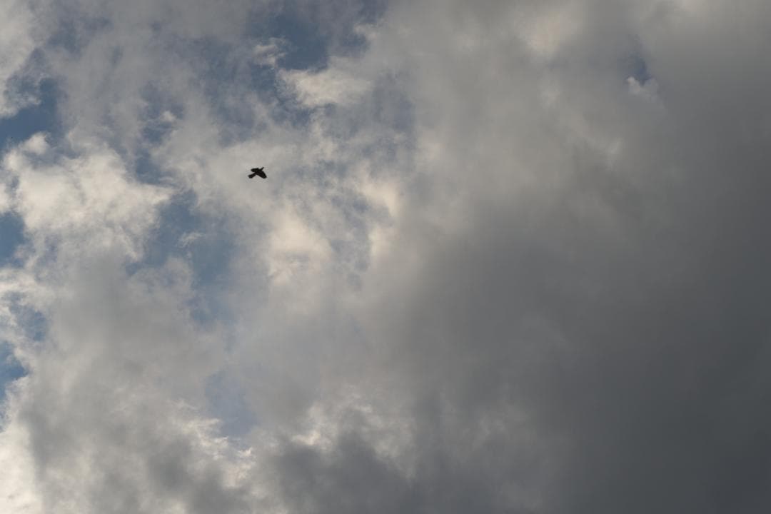 PENTAX Super-Takumar 35mm F2 M42 黄変改善品