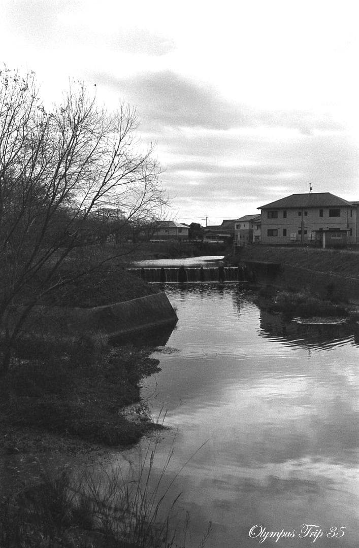 【整備済完動品・赤ベロOK！・フィルム試写済】Olympus Trip 35