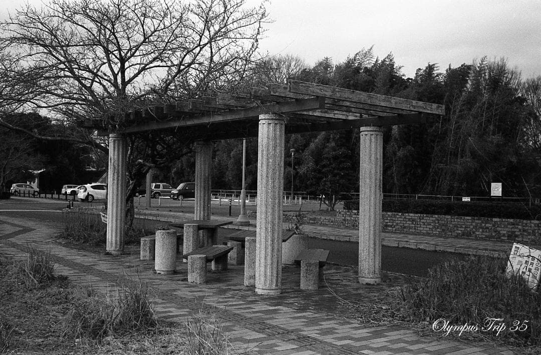 【整備済完動品・赤ベロOK！・フィルム試写済】Olympus Trip 35