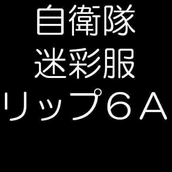 陸上自衛隊 リップストップ 迷彩服 ６A