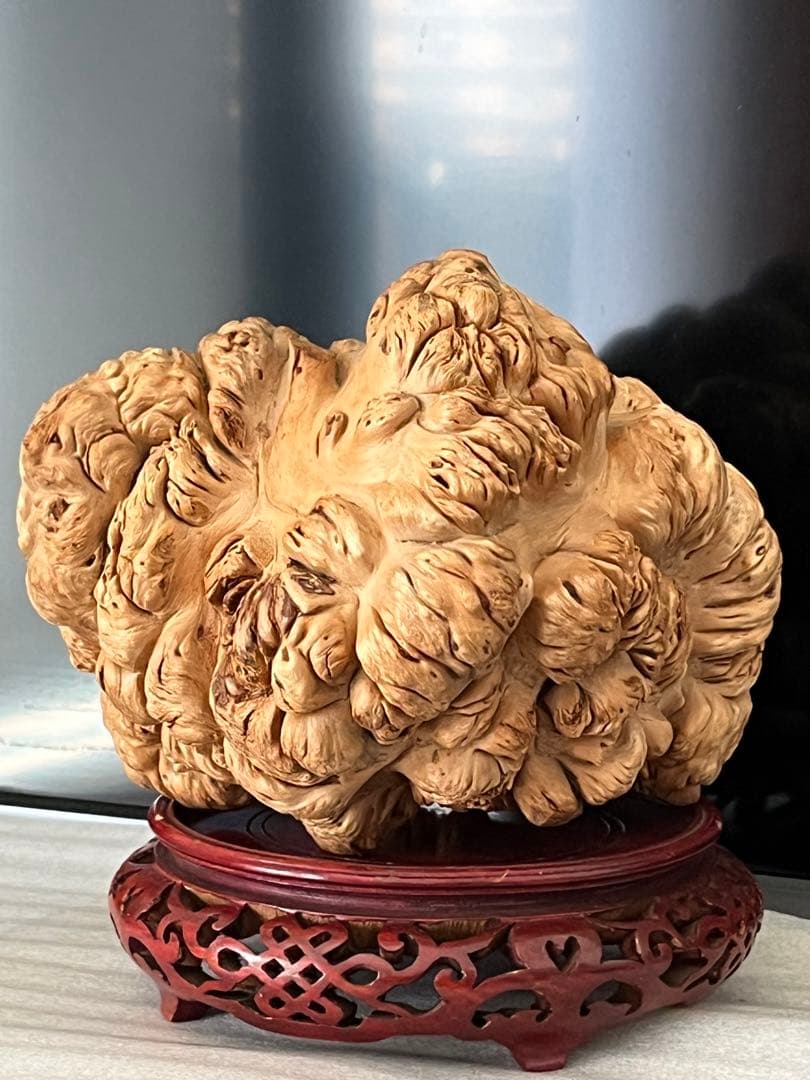 泡瘤 木の瘤 瘤杢 置物