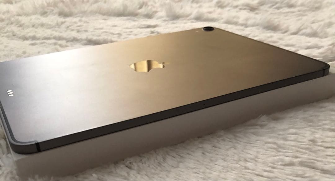 【完動品】iPad Pro 11 第1世代 512GB SIMフリー 【即発送】